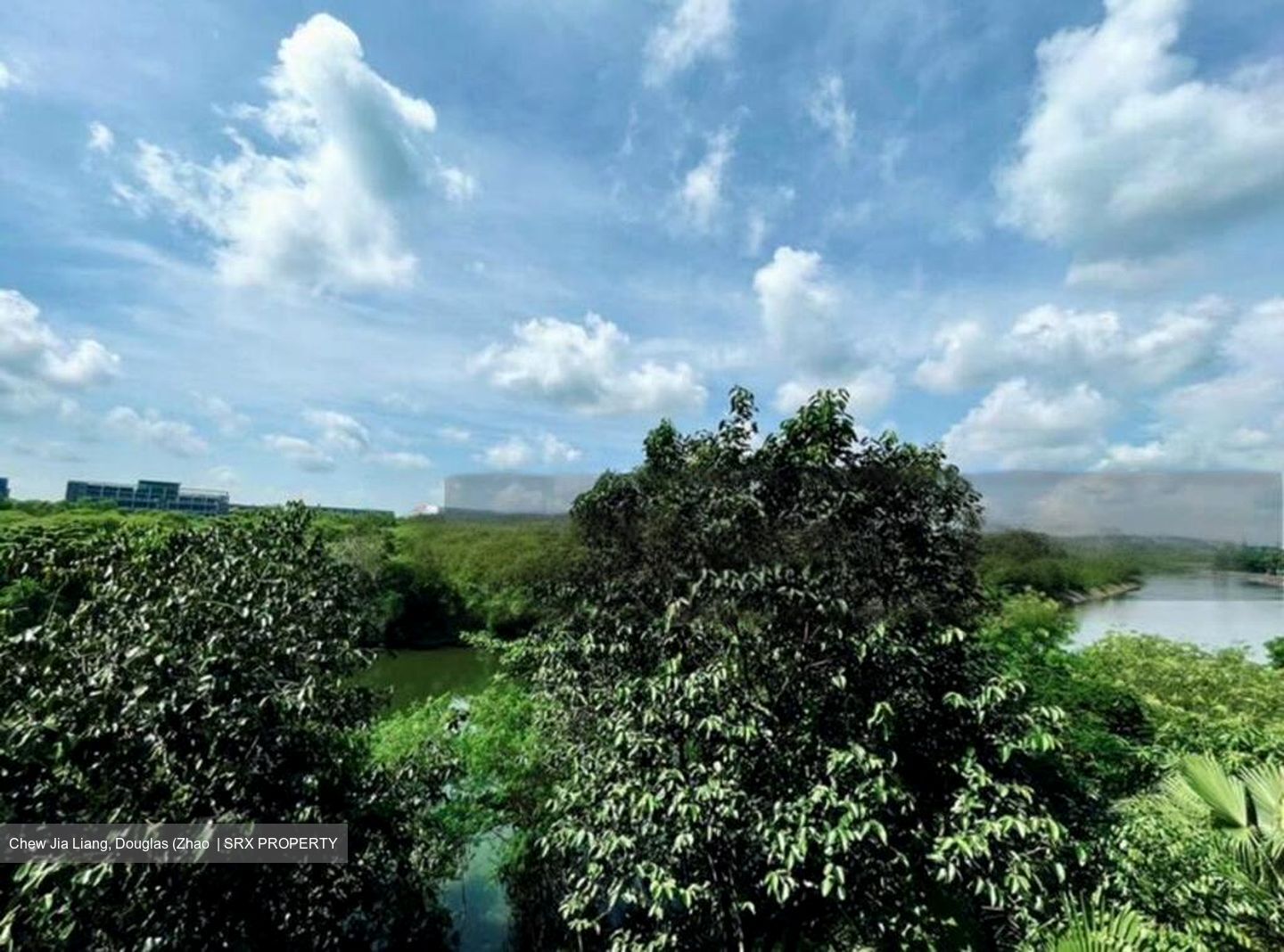 Heron Bay (D19), Condominium #467569241